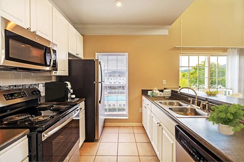 a kitchen with a stove and a sink and a refrigerator