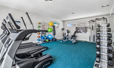 A well-equipped home gym with a variety of exercise equipment.