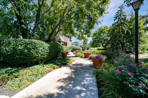 A garden pathway surrounded by greenery and flowers.