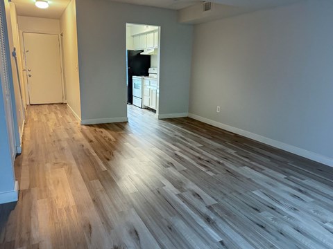 A room with light wood flooring and a white door.