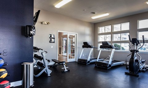 a gym with cardio machines and weights on the floor