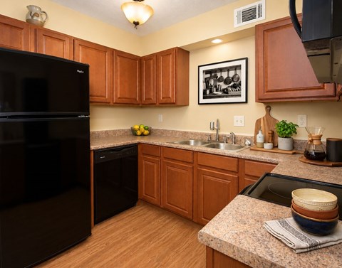 A black refrigerator sits in a kitchen with wooden cabinets and a granite counter.