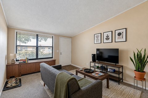 A living room with a grey couch, a coffee table, a flat screen TV, and a potted plant.