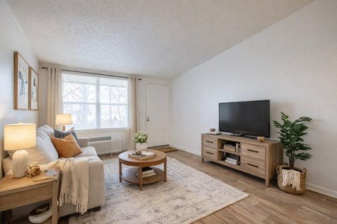 A living room with a couch, a coffee table, a television, and a potted plant.