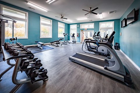 A gym with treadmills, elliptical machines, and dumbbells.