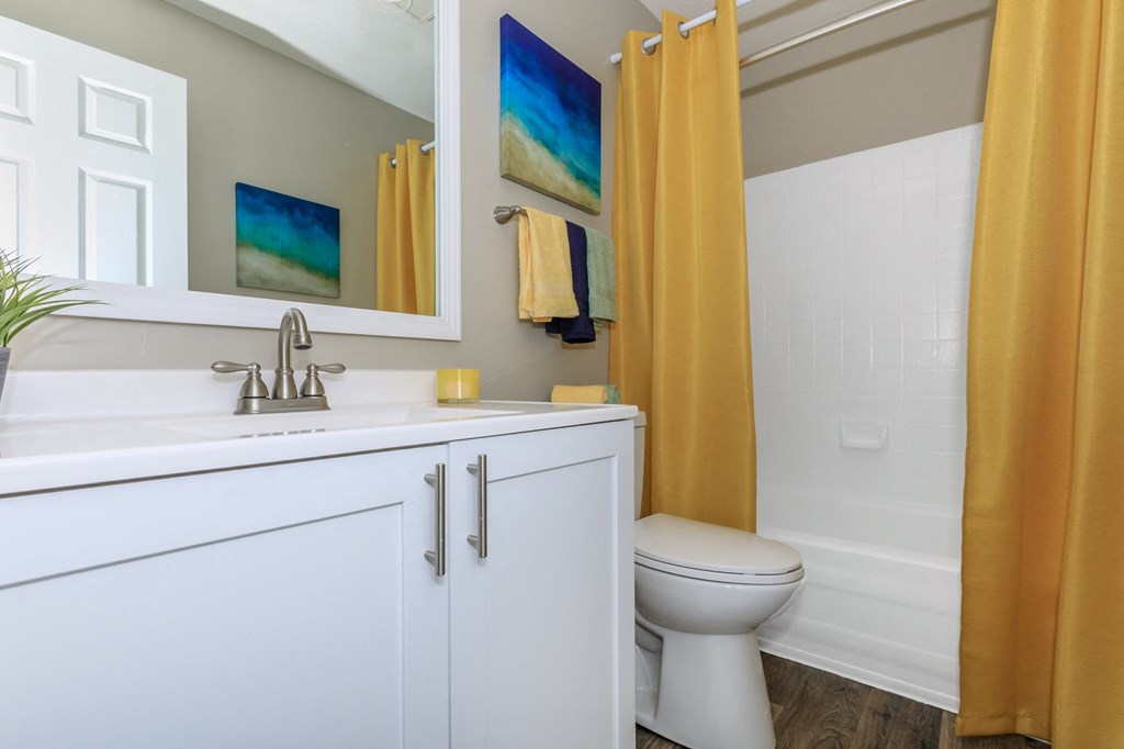 Bathroom with Vinyl Plank Floors