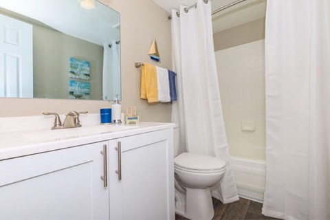 a bathroom with a sink and a toilet and a shower