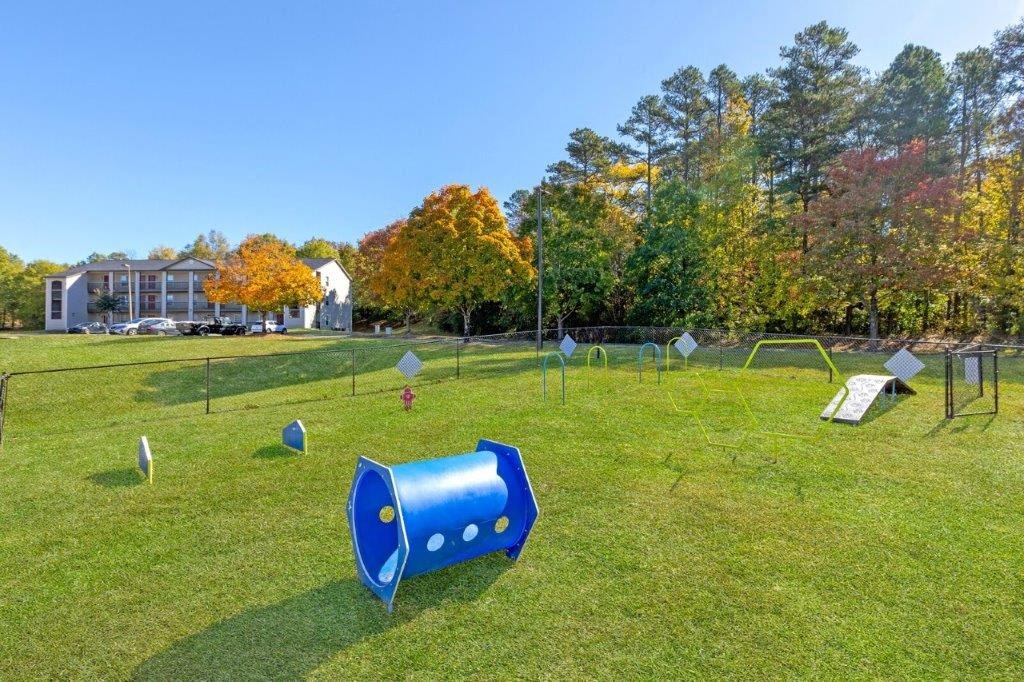 fenced dog park with agility equipment