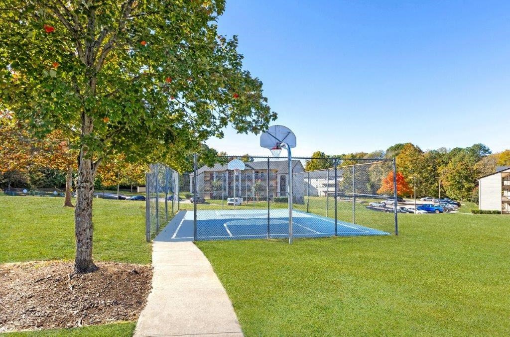 basketball court next to a tree