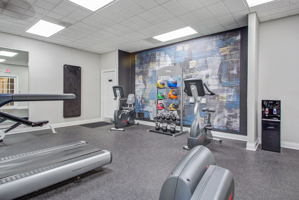 a gym with treadmills and other exercise equipment in front of a wall mural