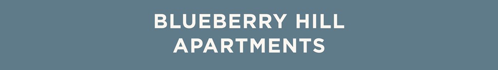 The image is a title slide for Blueberry Hill Apartments.