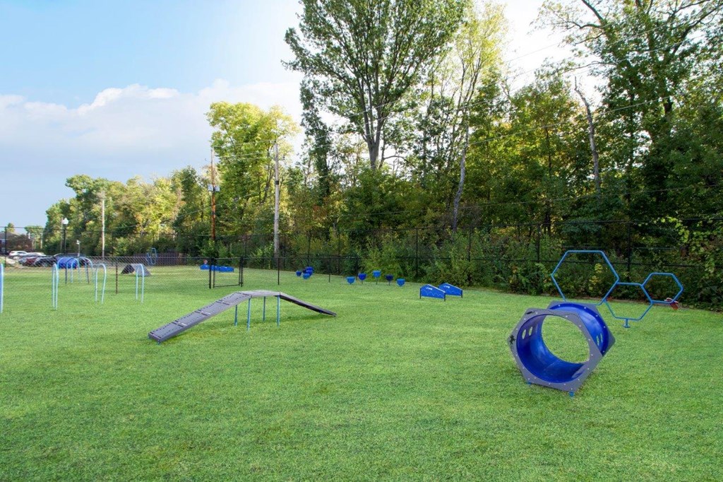 a group of playground equipment in a field