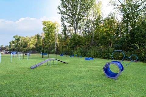 a group of playground equipment in a field