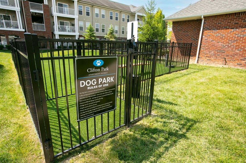 Dog Park