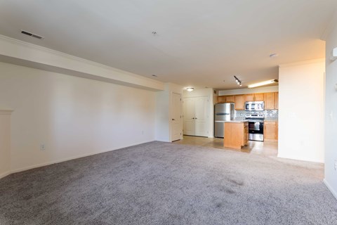 A spacious living room with a grey carpet and a kitchen in the background.