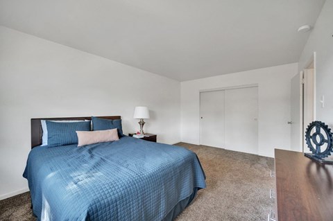 a bedroom with a bed and a closet
