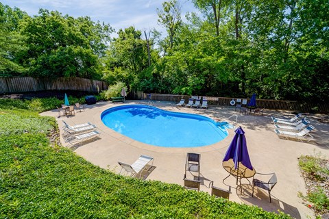 A pool surrounded by chairs and umbrellas in a backyard.