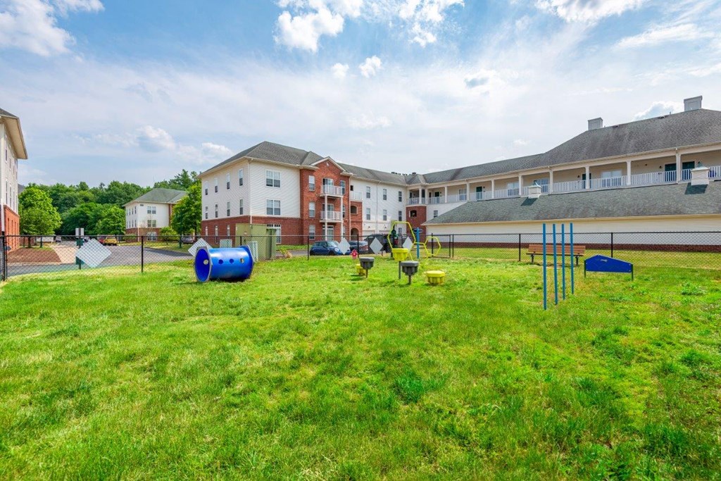 fenced dog park with agility equipment