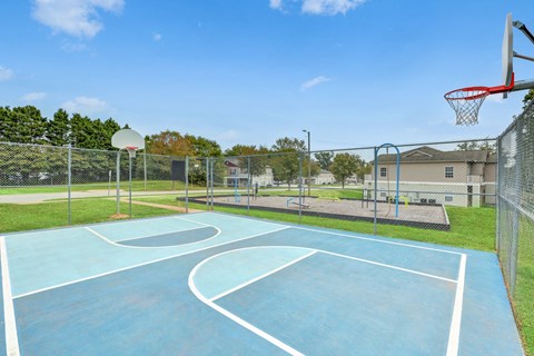 Basketball Court