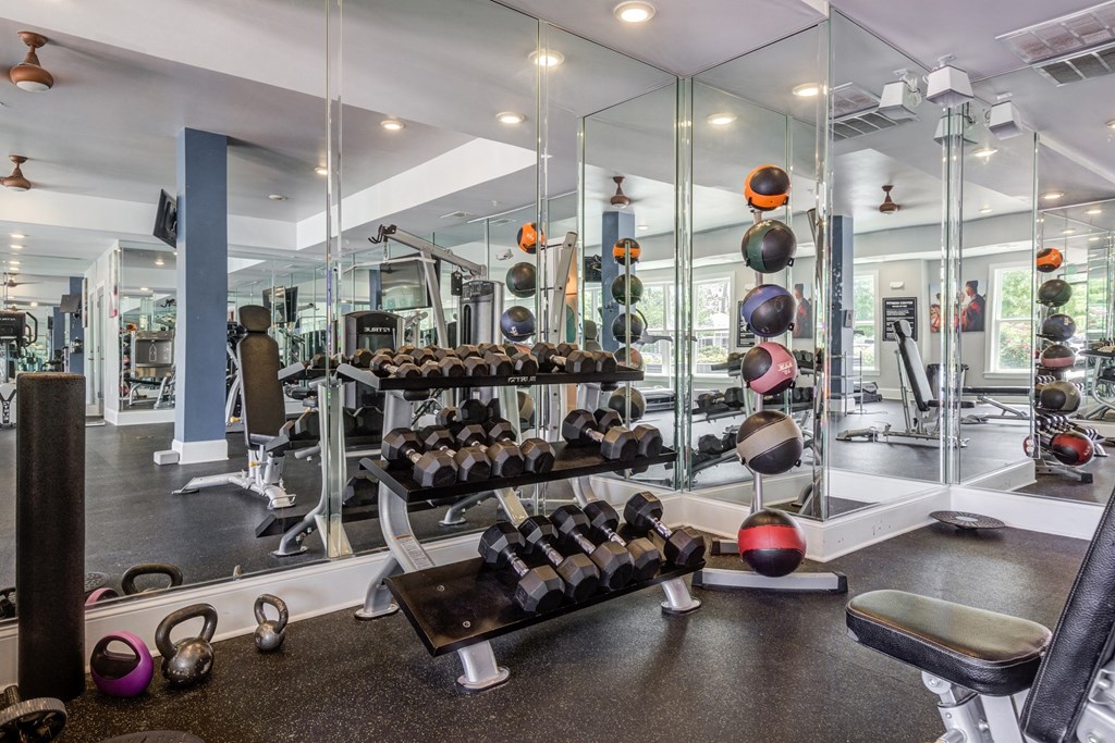 a gym with weights and mirrors on the wall