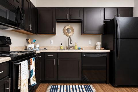 A black kitchen with a black fridge and black cabinets.