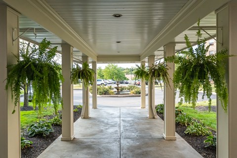 A long covered walkway with plants on the sides.