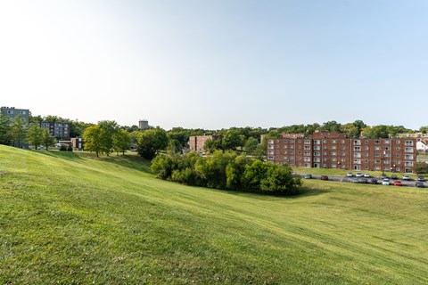 A grassy field with trees and a building in the background.