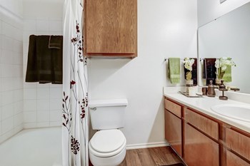 Bathroom - Photo Gallery 6