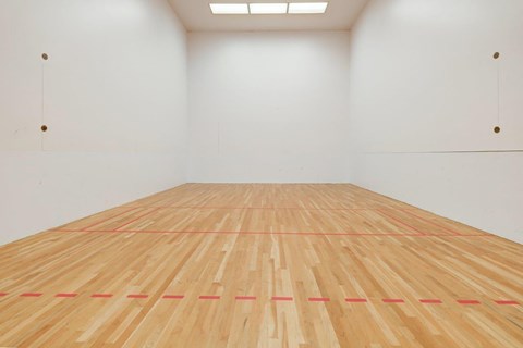 A squash court with a wooden floor and red lines.