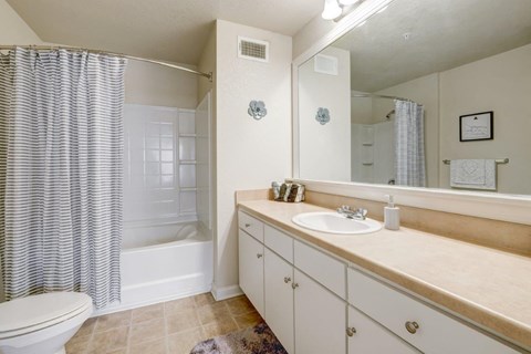 a bathroom with a sink and a shower and a toilet