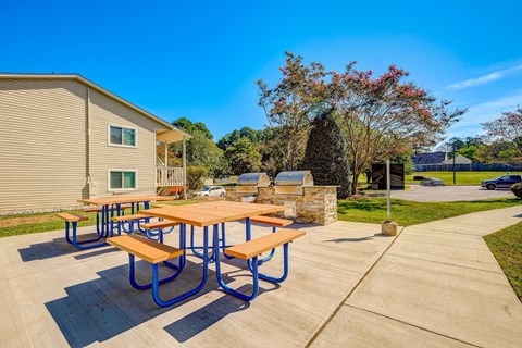 Grilling Station and Picnic Area