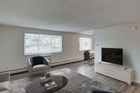 A living room with a grey couch, a coffee table, and a television.