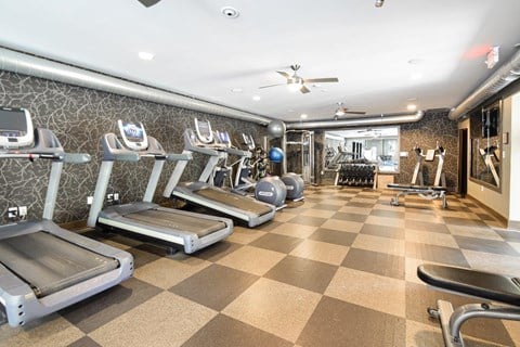 A gym with treadmills, exercise balls, and weights.