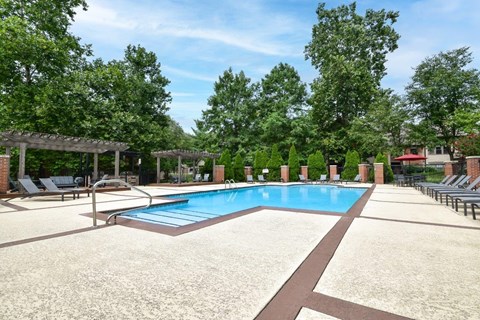 A large outdoor swimming pool surrounded by trees and lounge chairs.