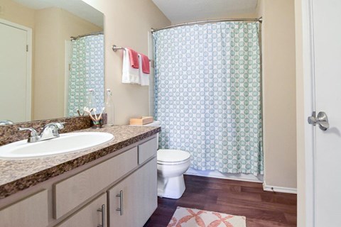 A bathroom with a toilet, sink, and shower curtain.