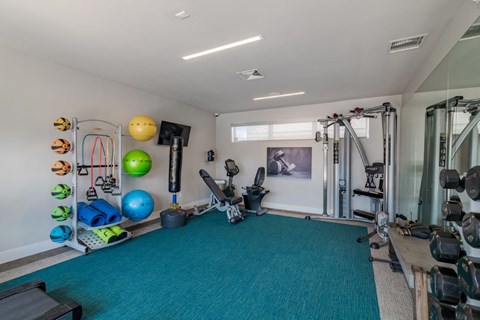 the gym in the owners home