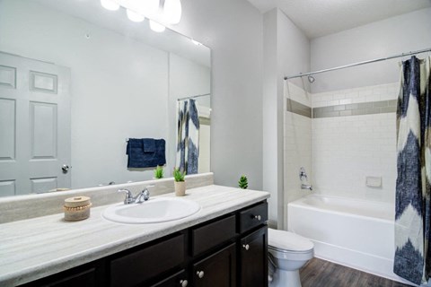 a bathroom with a sink and a shower and a toilet