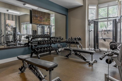A gym with a variety of equipment including weights and benches.
