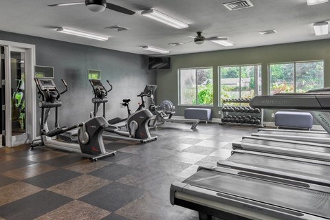 A gym with treadmills, elliptical machines, and a fan.