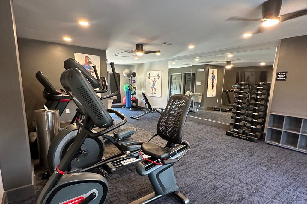 A gym with a stationary bike and a rowing machine.