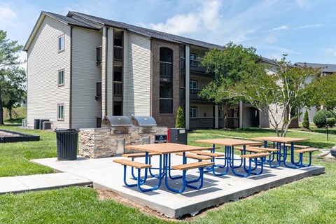 A series of blue and brown picnic tables are in front of a building.
