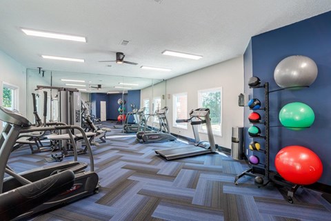 A gym with a variety of equipment including treadmills, weights, and exercise balls.