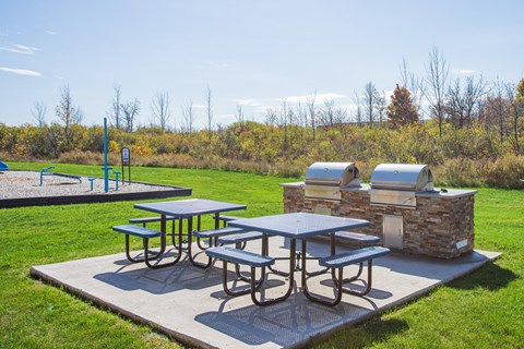 Picnic tables and grills are set up on a concrete slab in a grassy area.