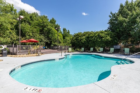 a swimming pool with trees in the background