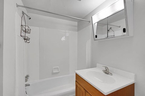 a bathroom with a sink and a shower
