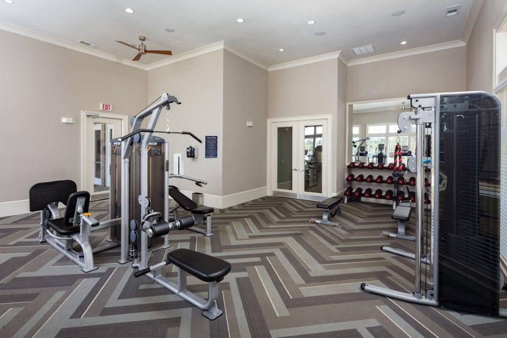 a gym with weights and cardio equipment in a luxury home