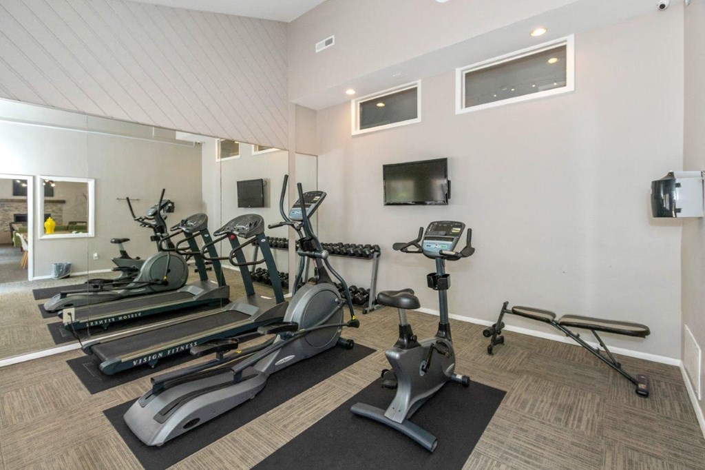 the gym is equipped with cardio equipment and televisions