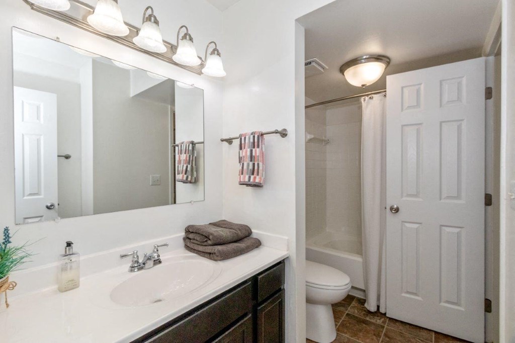 a bathroom with a sink and a toilet and a mirror