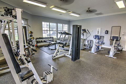 A gym with a variety of equipment including a squat rack, bench press, and leg press.
