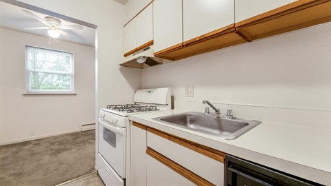 a kitchen with a sink and a stove and a window